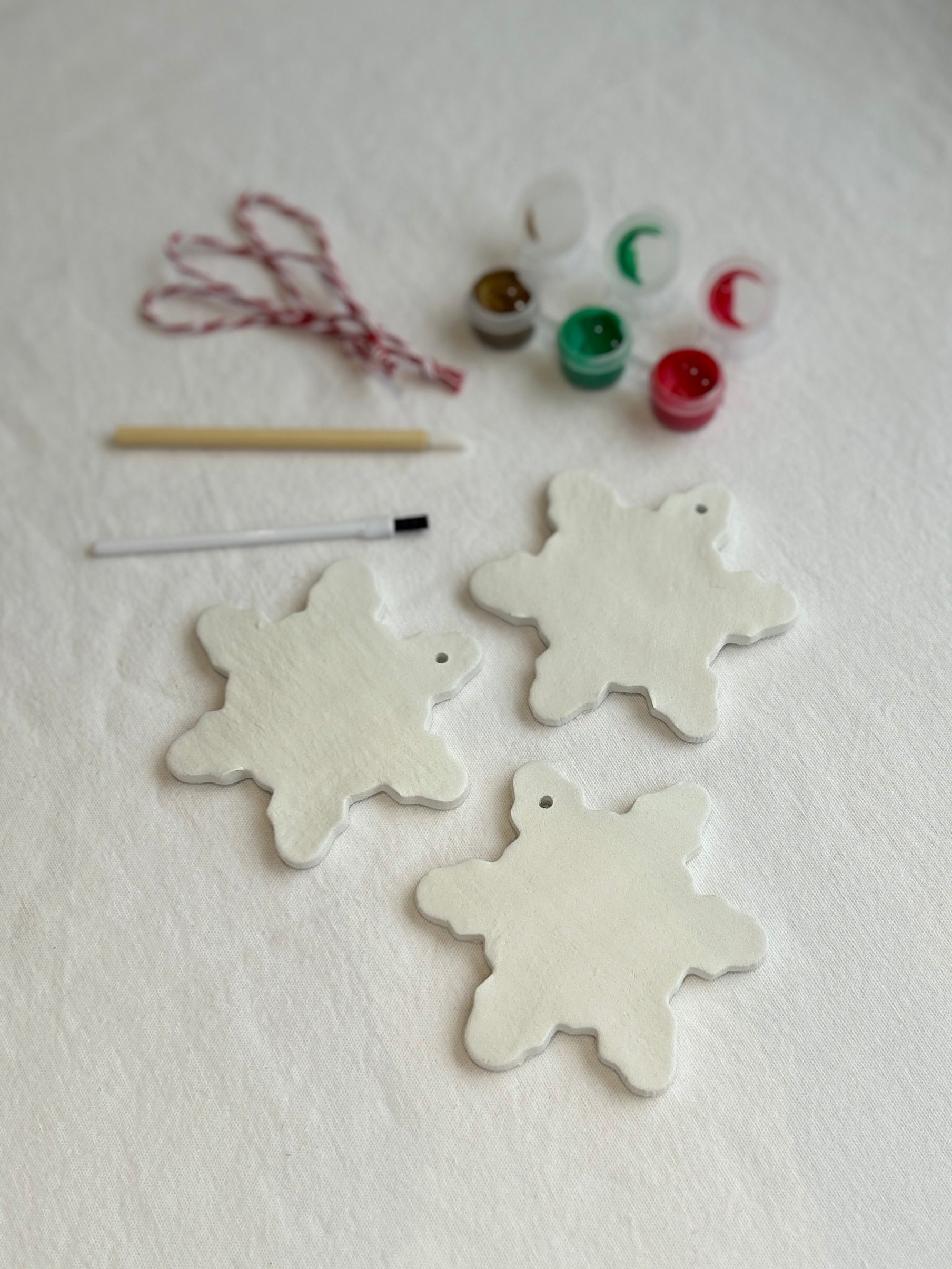 Paint Your Own Snowflakes